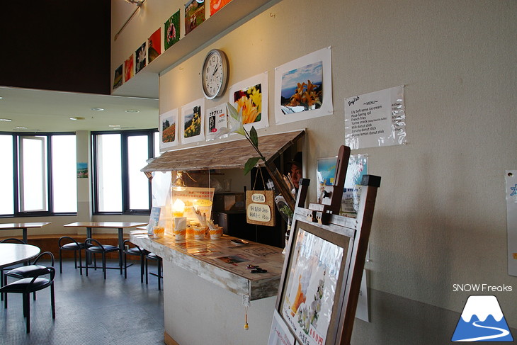 オーンズ春香山ゆり園 今年も綺麗な『ゆり』のシーズン到来♪